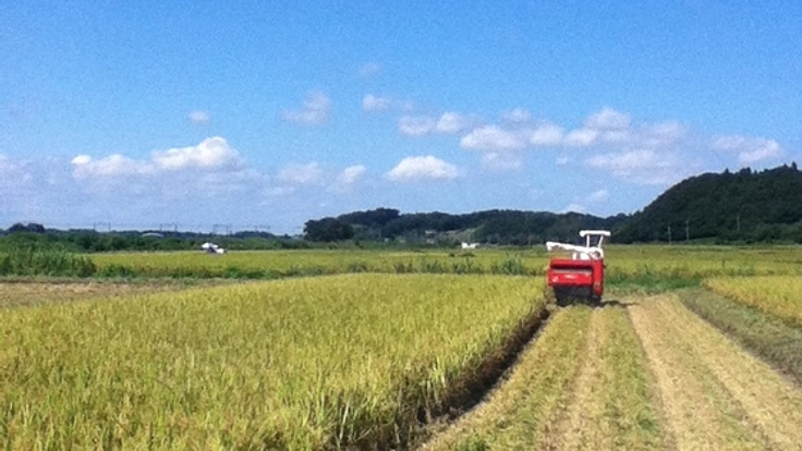 千葉県四街道にお米を育てる農業法人を作ります！！