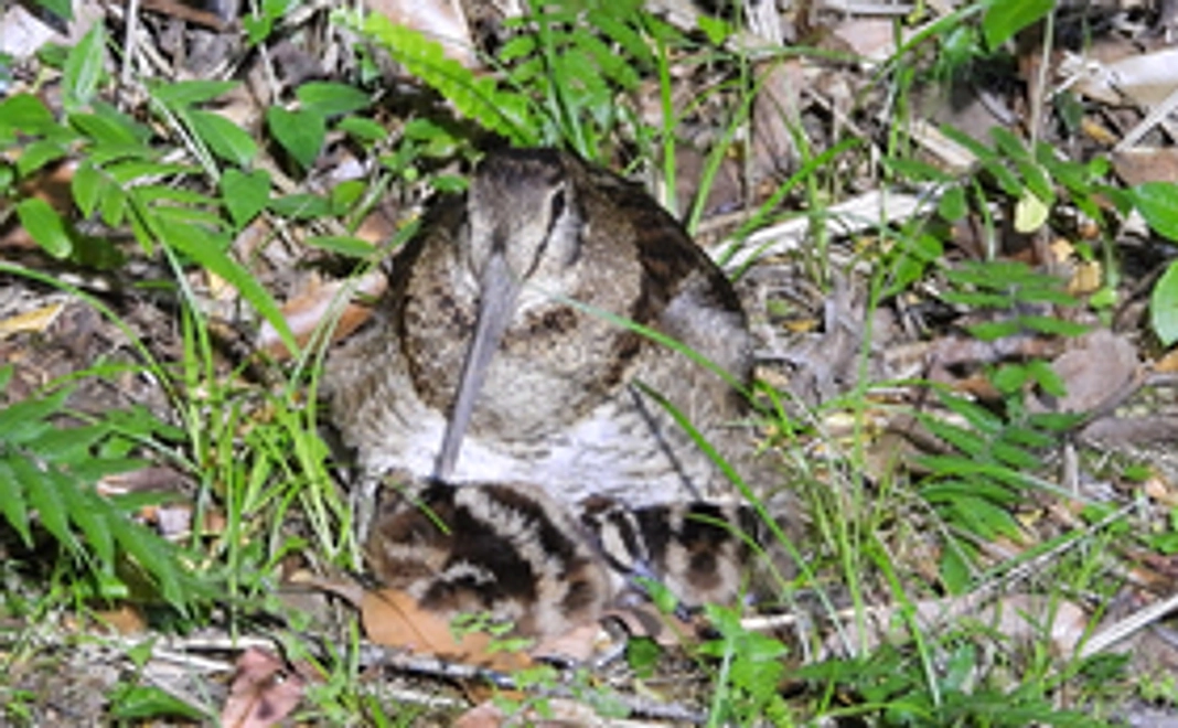 お気持ちコース|10,000円コース