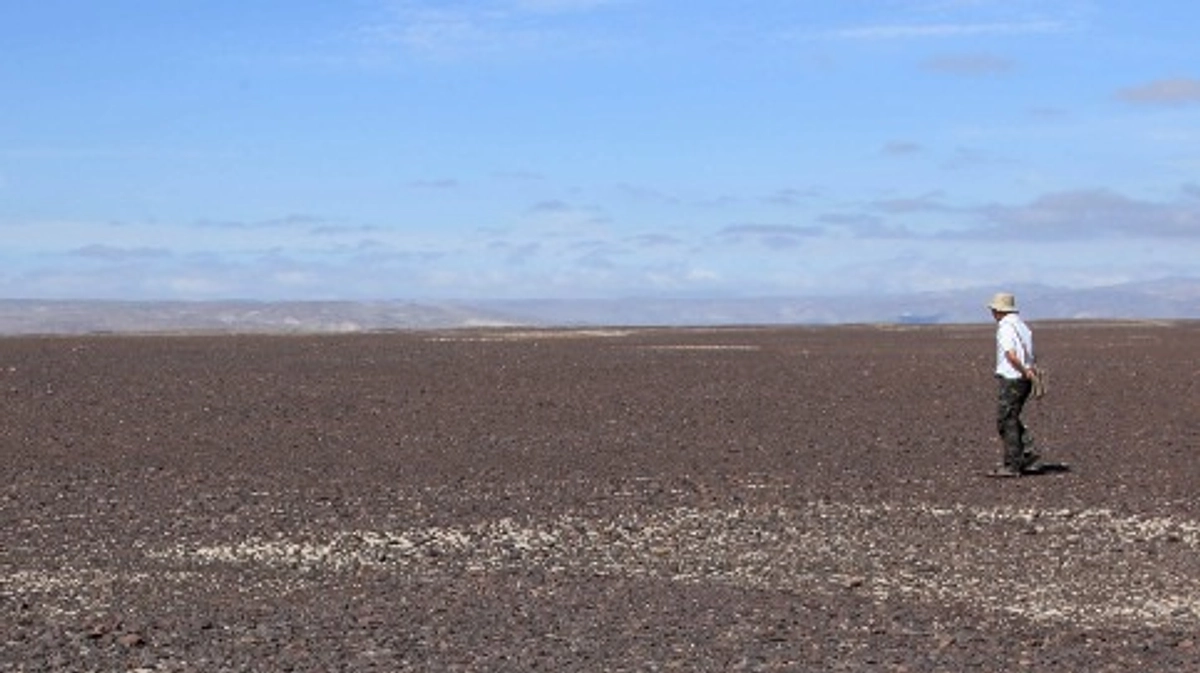 アルバム公開3「地上の地上絵：面タイプ」