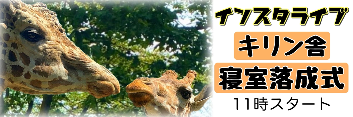 【インスタライブ！】落成式をライブ配信します！！