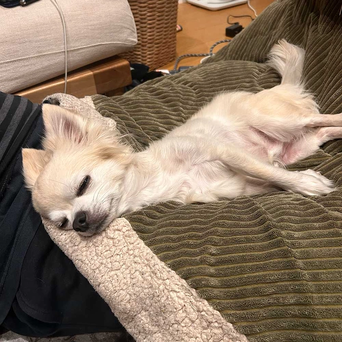 2ヶ月検診が終わりました