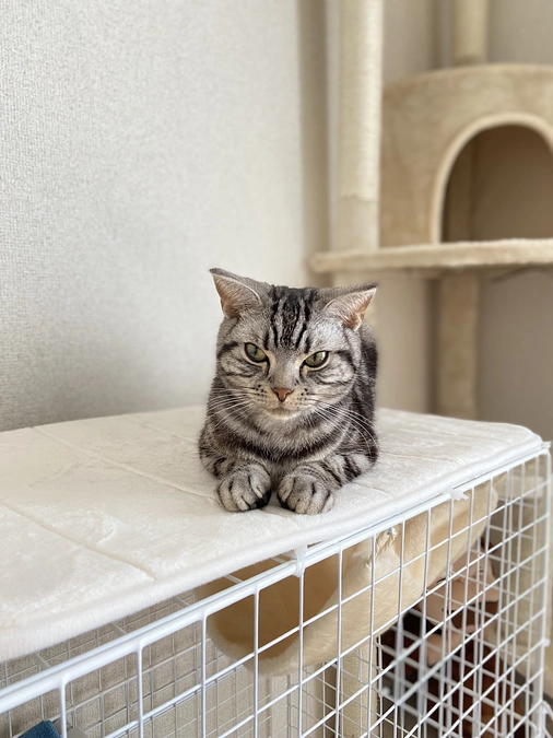 2023.5.6⭐️ #闘病生活 17日目