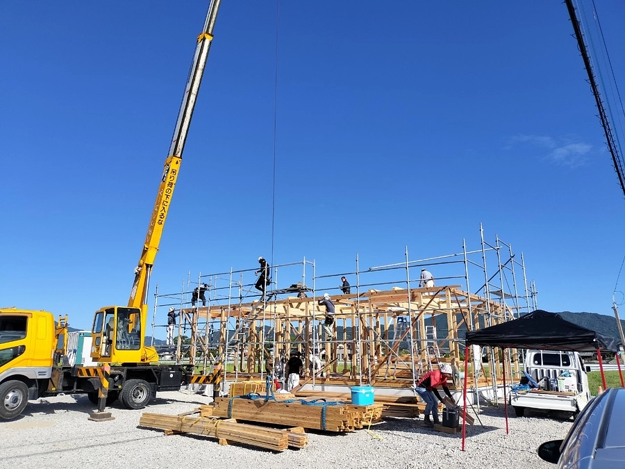 【進捗情報⑫】新シェルター、ここまで建ってます！