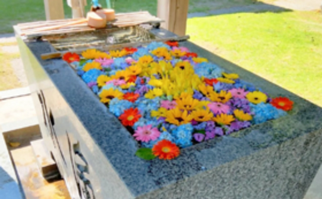 3,000円コース：10支援毎に花手水1か所実施