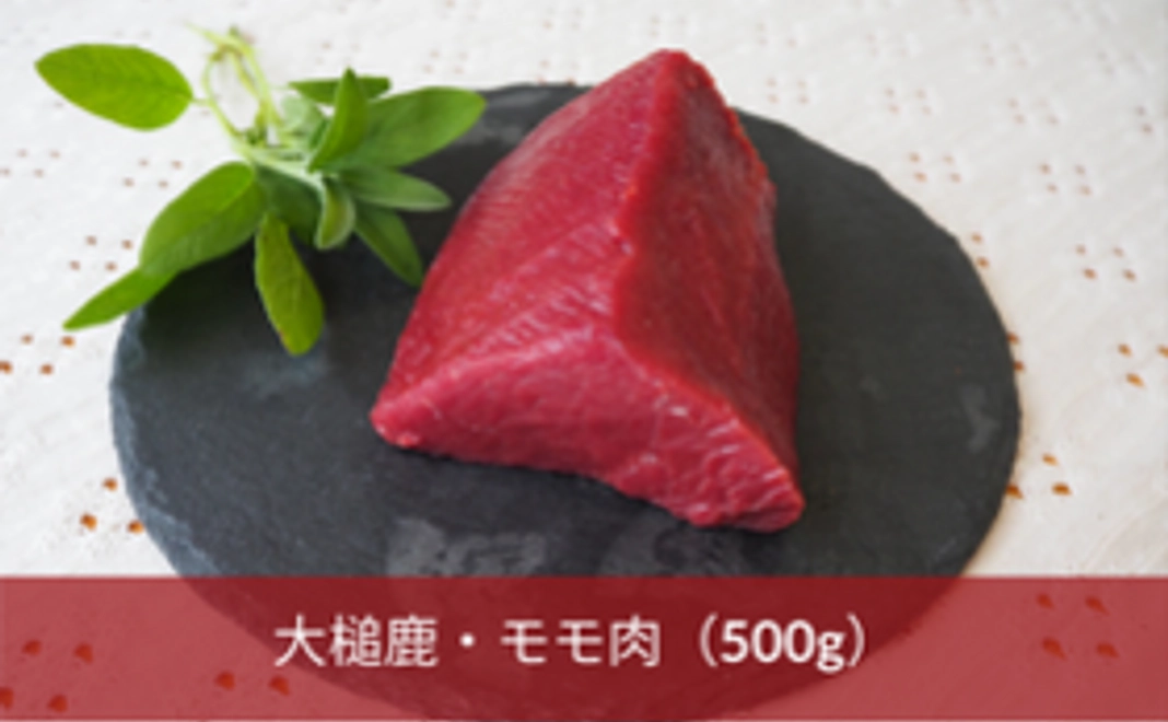 大槌鹿・モモ肉(500g)