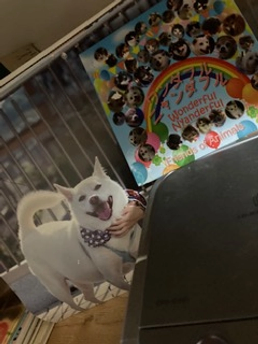 人気者のヒロくん追悼、皆様からのメッセージ、今きっと元気に走っているヒロくんに届くでしょう。有難う