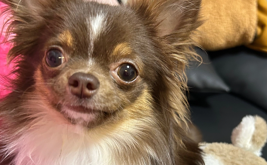 少しでも助けてください