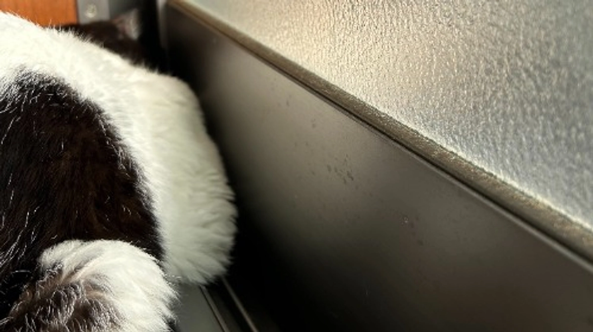 皮下点滴と投薬の時間を把握し始める