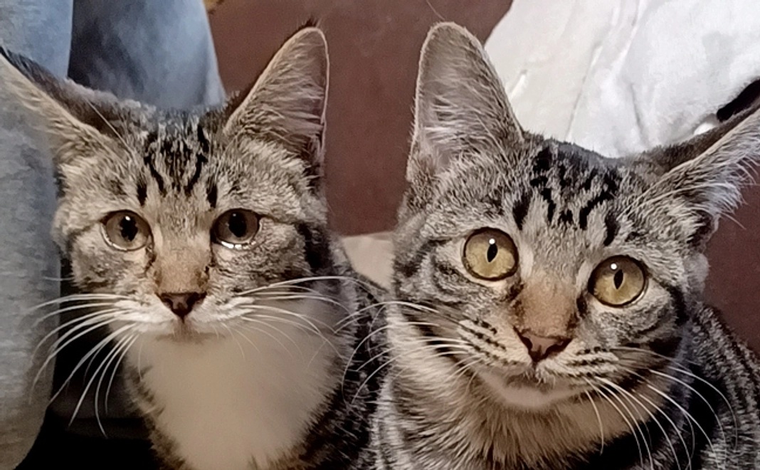 感謝のメール⑤