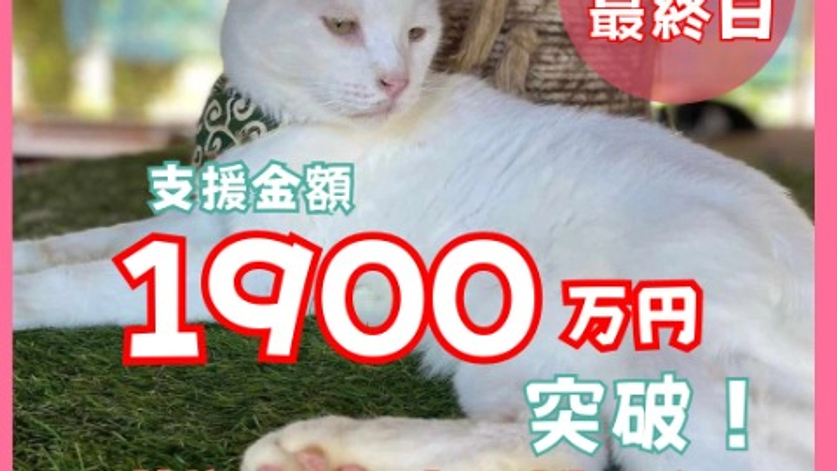 【1900万円突破！残り3時間！】夢の最終ゴールまであと少し！最後の最後まで突き進んでいきます！！