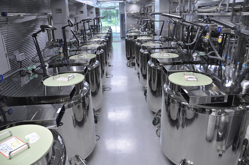 見れます！国立環境研究所のタイムカプセル棟！