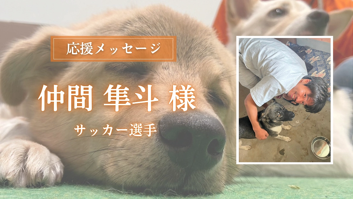 サッカー選手の仲間 隼斗様からの応援メッセージのご紹介