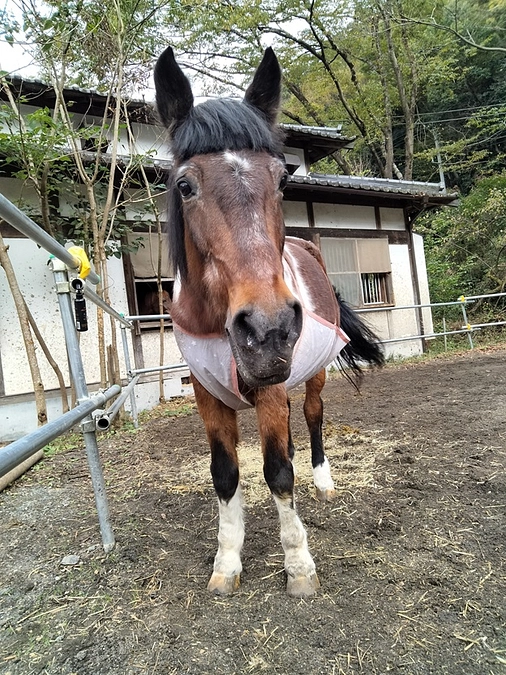 【あと3日！】今回のプロジェクトで実現したいこと、お伝えしたいこと