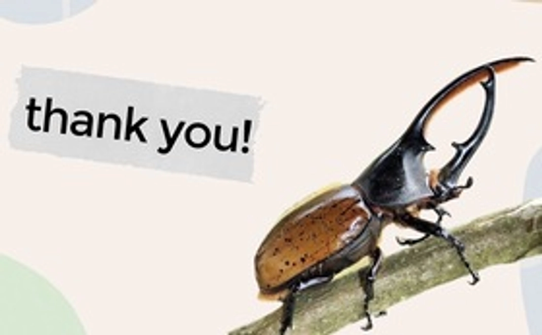 もっとお気持ち支援