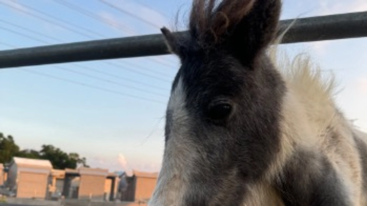 【公開中のプロジェクトが50%を突破！】ご支援の御礼と応援コメントのご紹介！