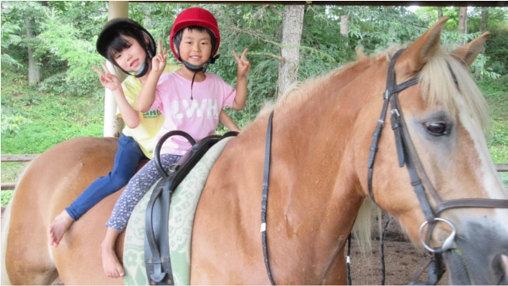 みんなの笑顔とチャレンジを引き出すミルキー(馬)に、再活躍の場を!