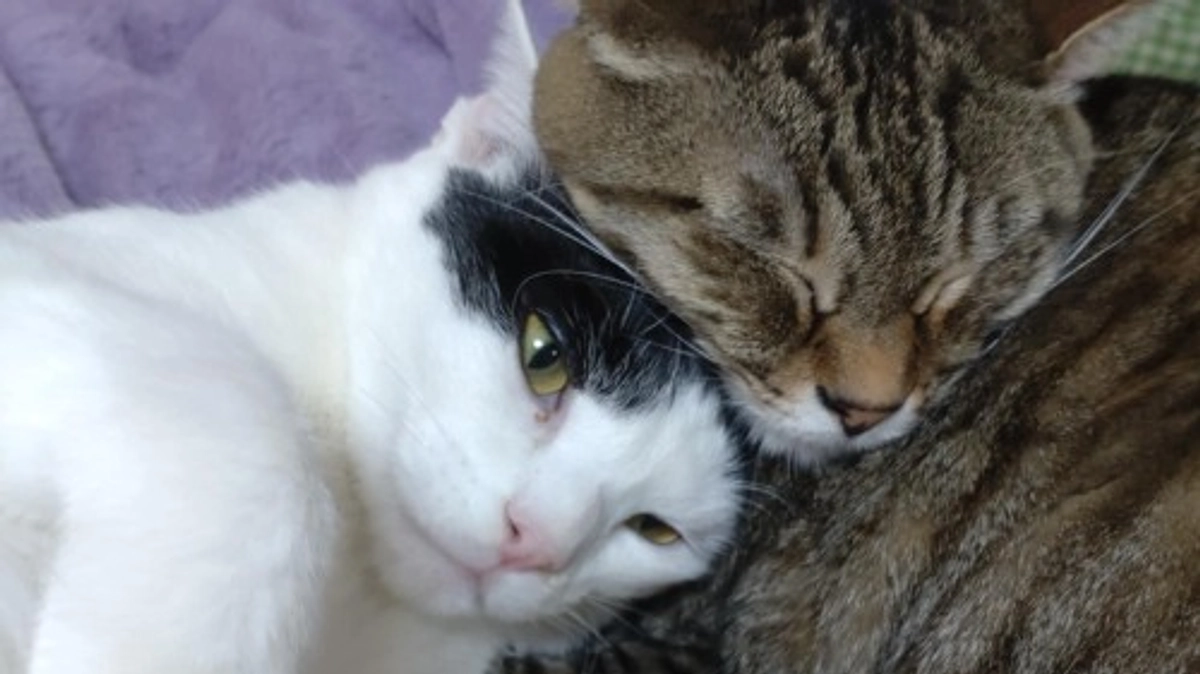 店舗移転のプロジェクトを立ち上げています 