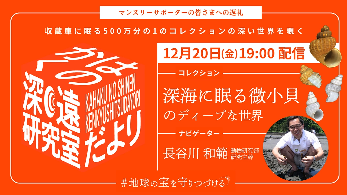 かはくの深遠研究室だより｜file.5 長谷川和範先生が語る、深海に眠る微小貝のディープな世界