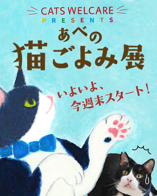 猫とアートに癒される3週間『あべの 猫ごよみ展 vol.1』開催決定！