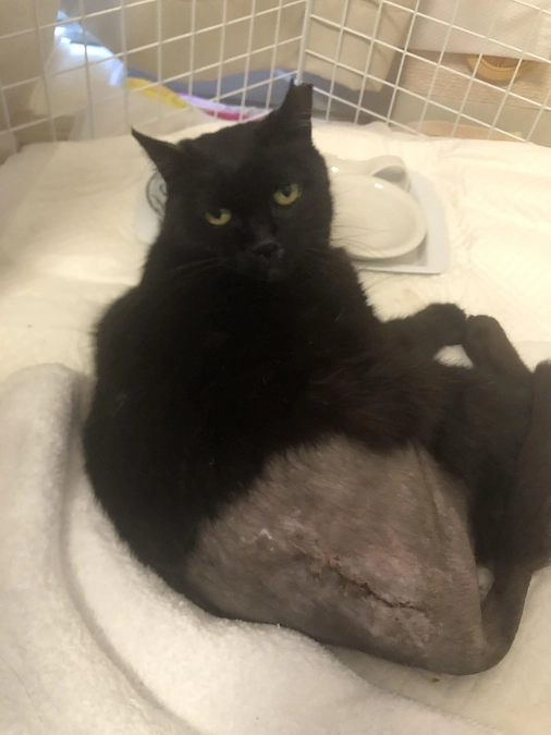 退院しました☆