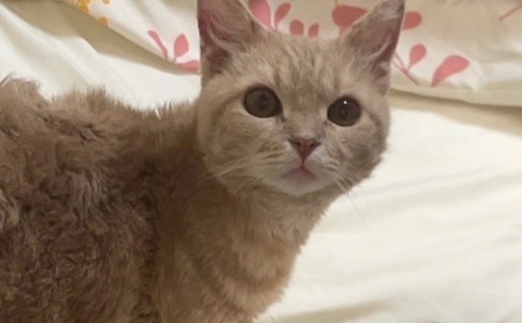 感謝のメール【9】