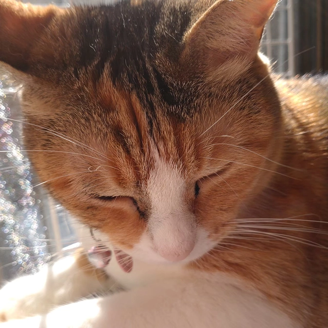 8歳になりました🎉