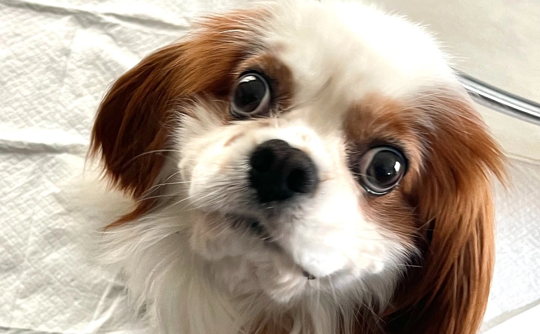 感謝のご連絡1　(リターン不要）