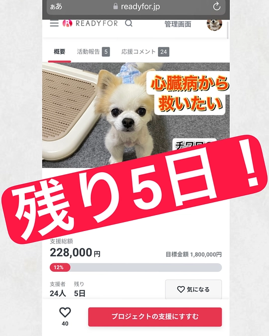 クラファン〆切まであと5日‼️