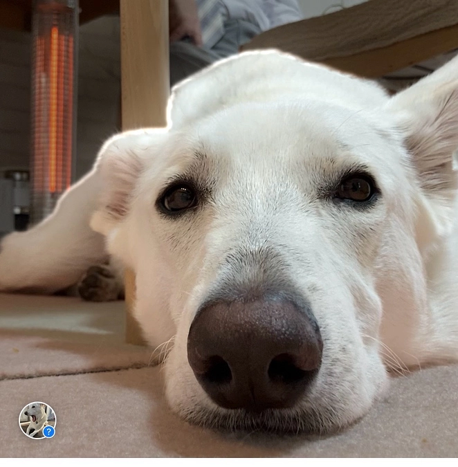 代理支援のご案内