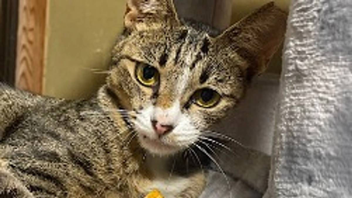 目標達成致しました！✨