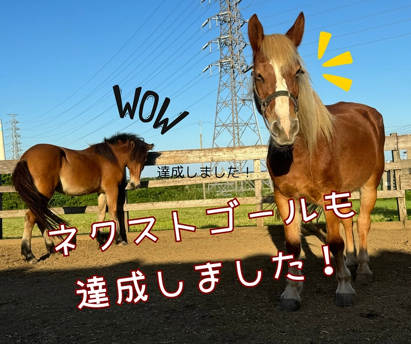 サードゴール挑戦中です！応援よろしくお願いいたします！