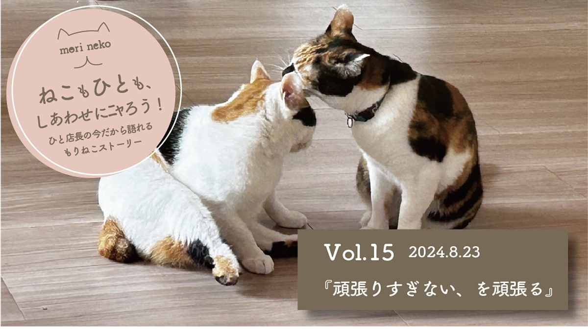 ねこもひとも、しあわせにﾆｬろう！vol.15『頑張りすぎない、を頑張る』