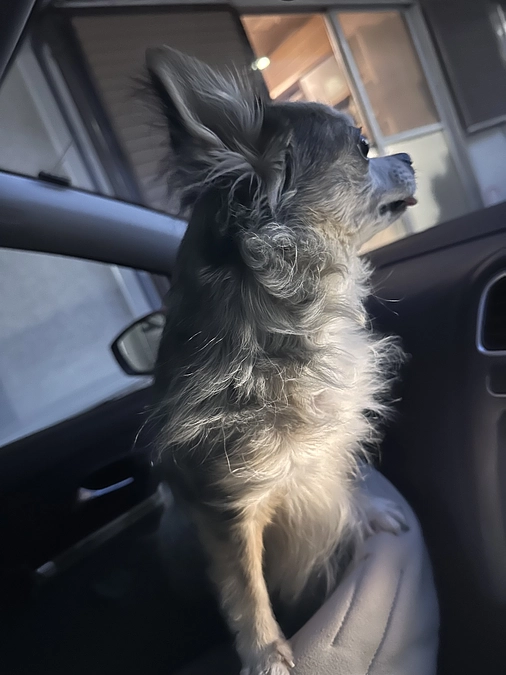 50％になりました‼️‼️🔥🔥