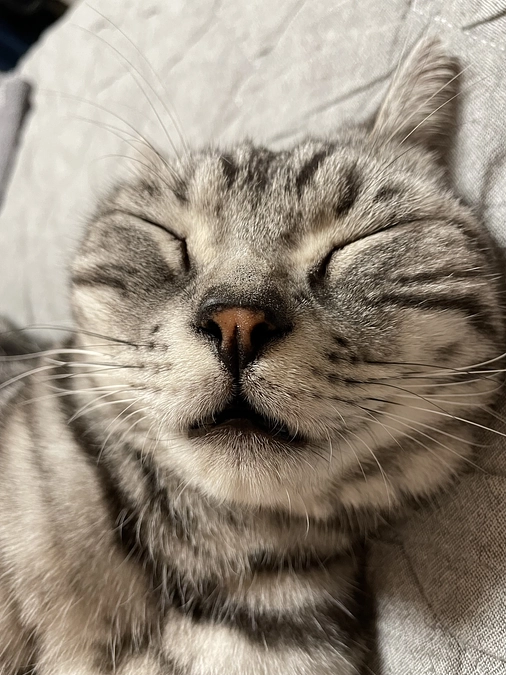 本日の銀時(経過観察15日目)