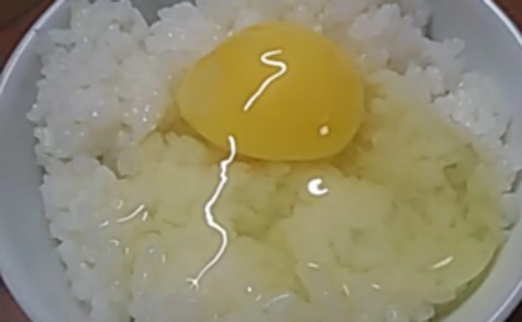 新米の新米で食べる、日本一幸せな鶏の卵！