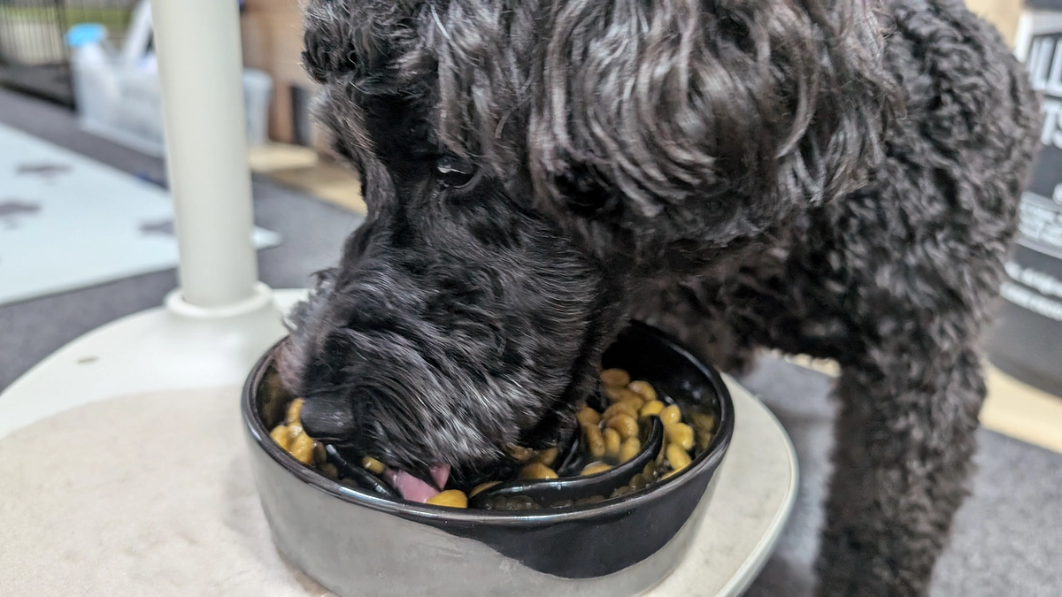 ★ぼるの食事★