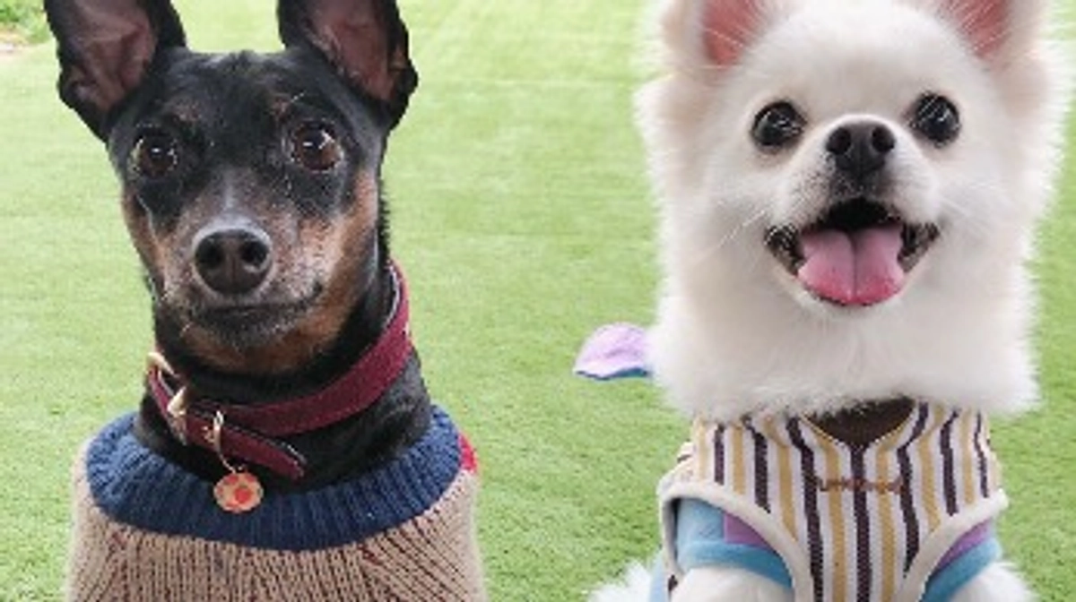 🆘🆘残り5日🆘🆘