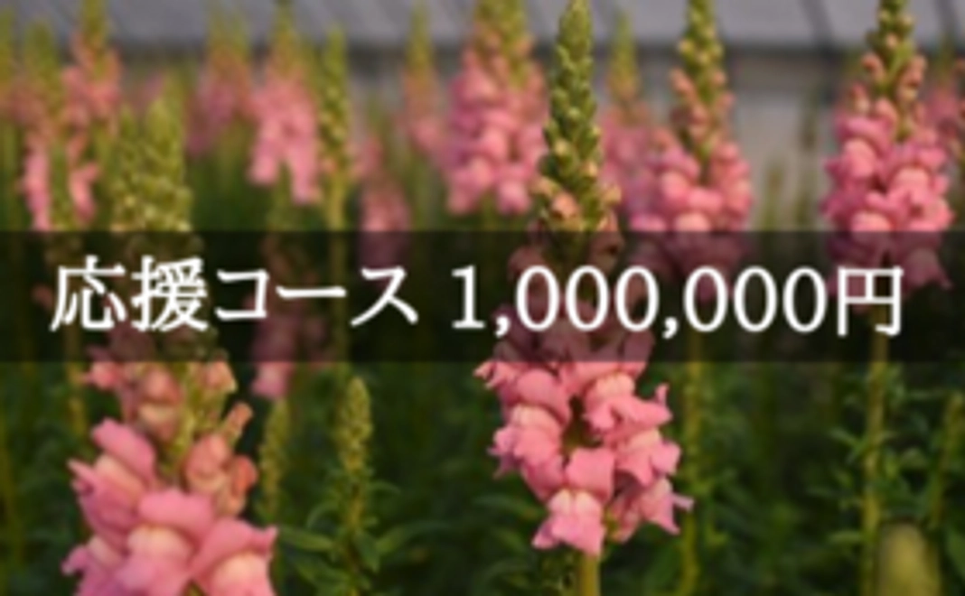 花き園芸農家の再建を応援！｜1,000,000円コース