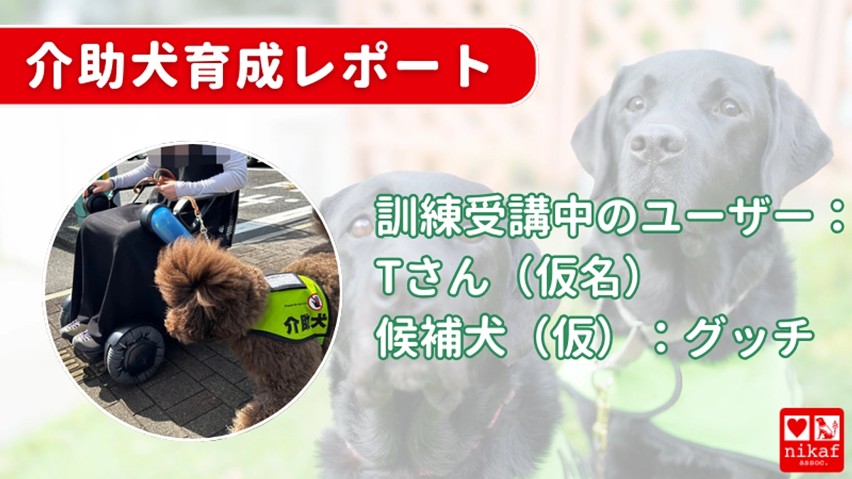 介助犬育成レポート　第2組目のTさんからのメッセージです！