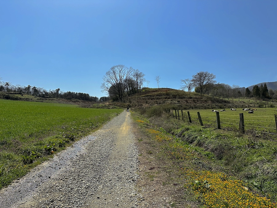 達成のお礼とネクストゴールへの挑戦について