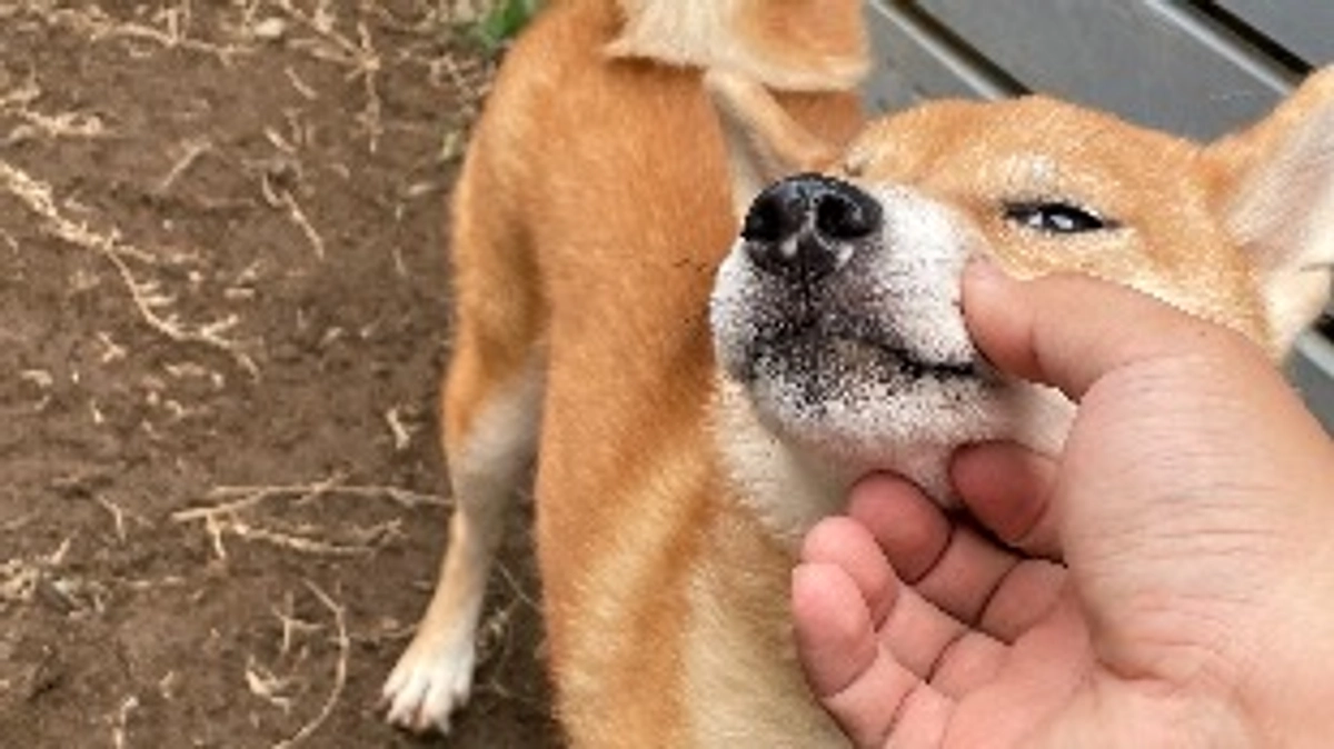 準備と試行錯誤