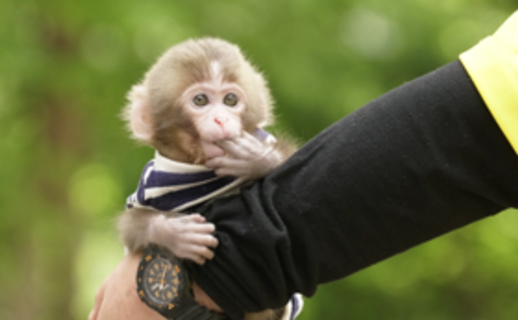 オリジナルグッズコース:1万円