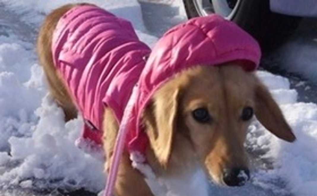 マリーへのご支援その2