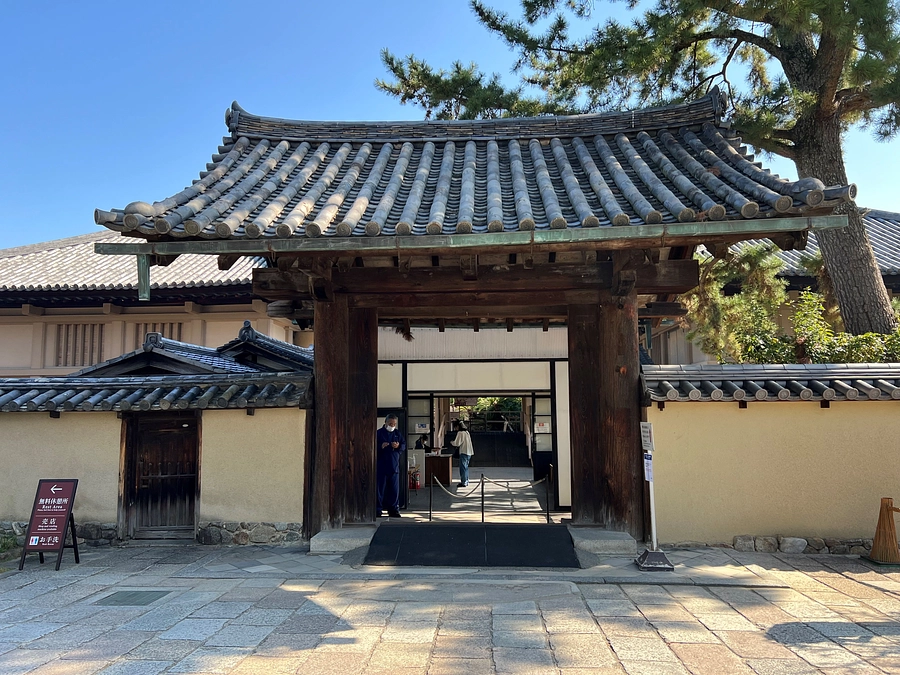 限定公開が始まりました！