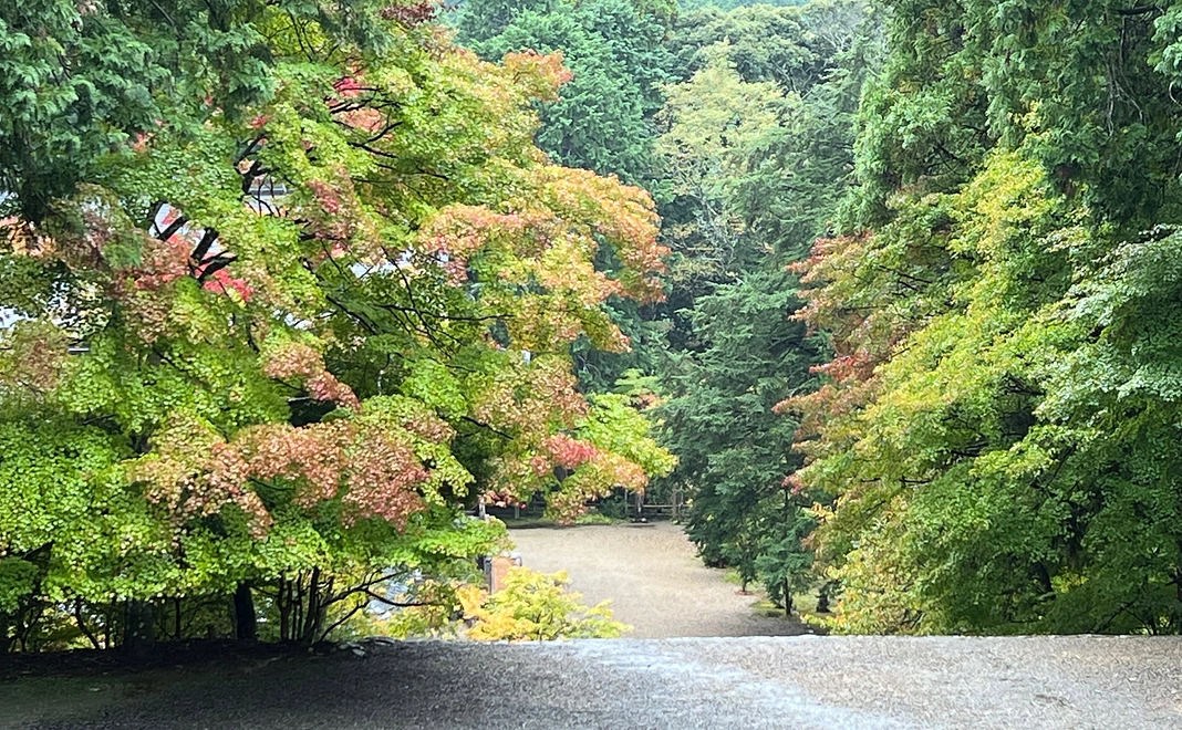 L｜神護寺・月守講研修【企業向け】