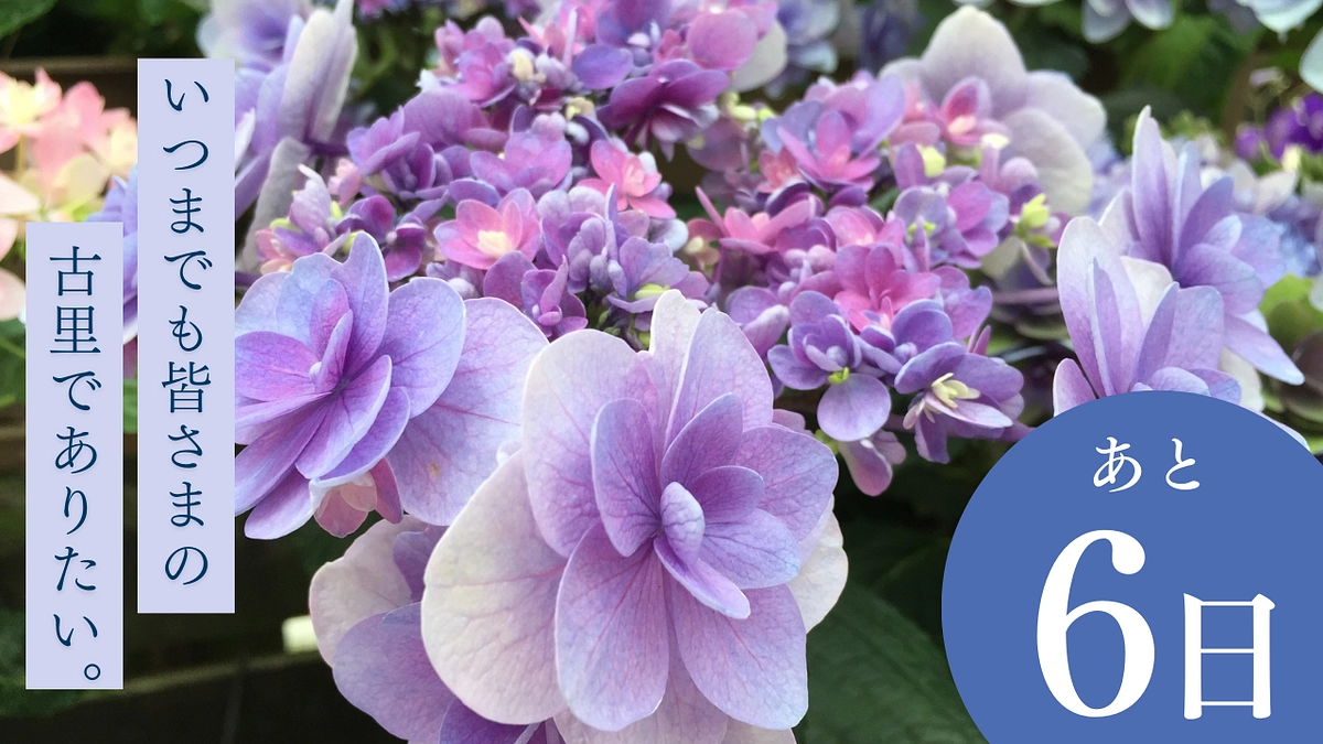 【残り6日間】原木園に植栽する予定の品種をご紹介します。【達成率48％】