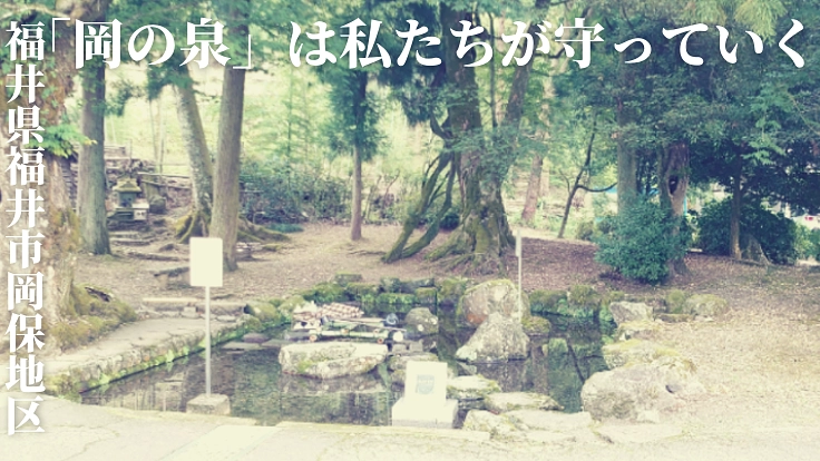 戦国時代から湧き出る泉のサワガニとベニマダラの生息環境を守りたい
