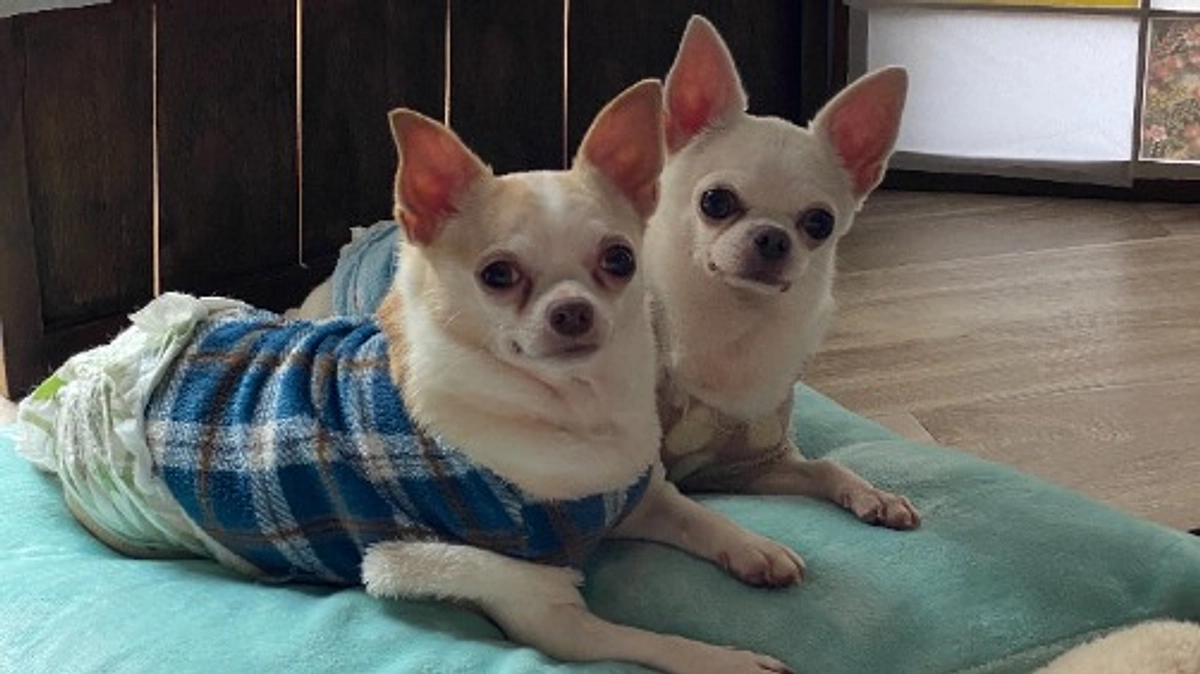 お陰様で８６％になりました！