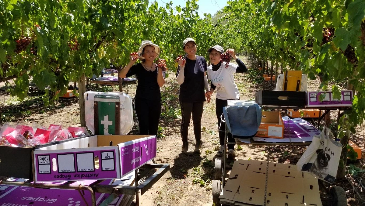 応援メッセージ紹介①🇦🇺