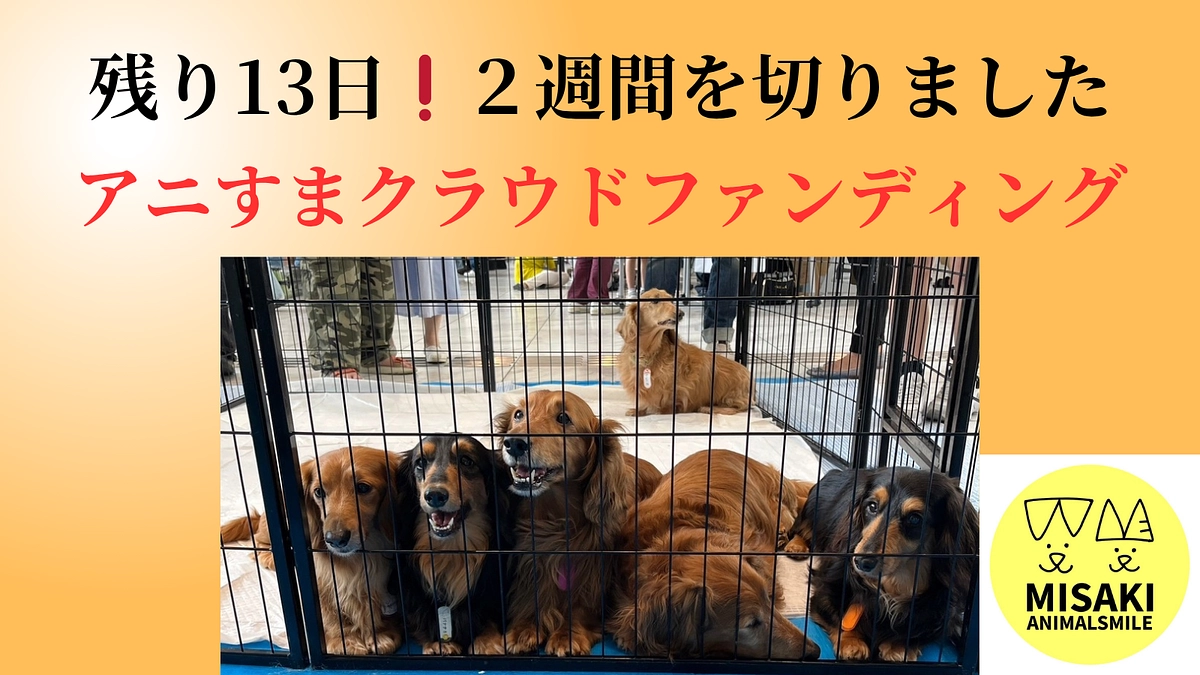 残り13日｜All or Nothingのため、第一目標金額を達成しないと全額返金です